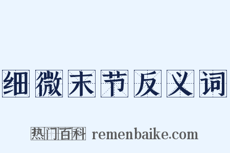 细微末节反义词是什么意思的图片